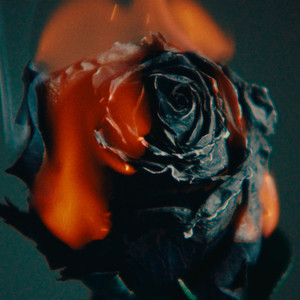 再婚老头大粗鳮巴
